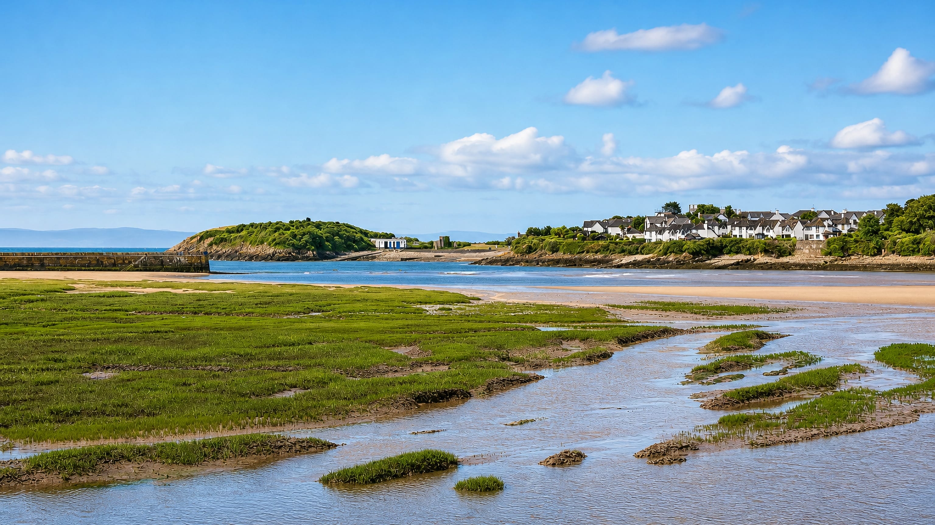 Tidal saltmarsh and a wooded headland with white clifftop houses at The Knap on the Barry coast.