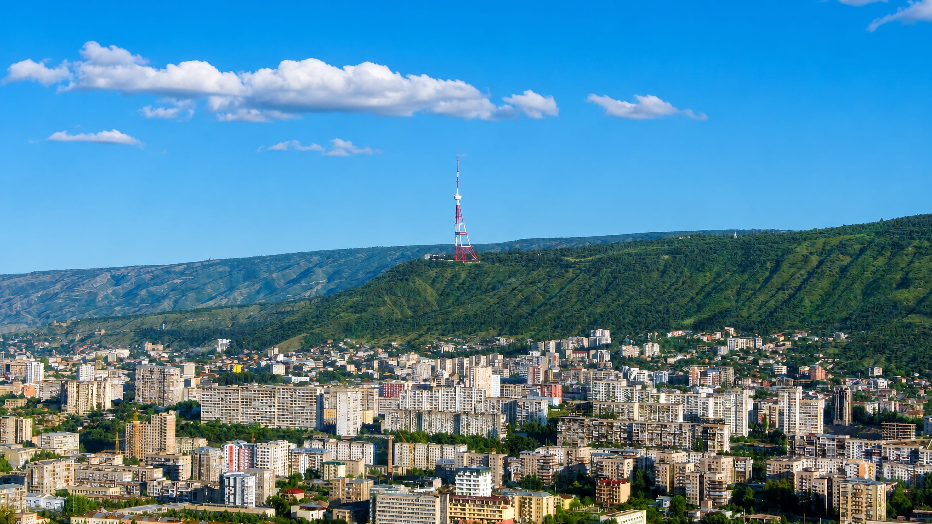 Saburtalo's Soviet-era apartment blocks spreading below the wooded ridge and TV tower above Tbilisi.