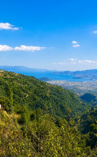 Volos and the Pagasetic Gulf seen from the forested slopes of Mount Pelion under a blue sky.