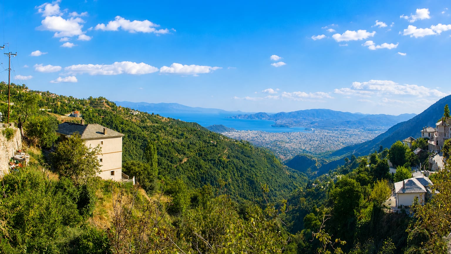Volos and the Pagasetic Gulf seen from the forested slopes of Mount Pelion under a blue sky.