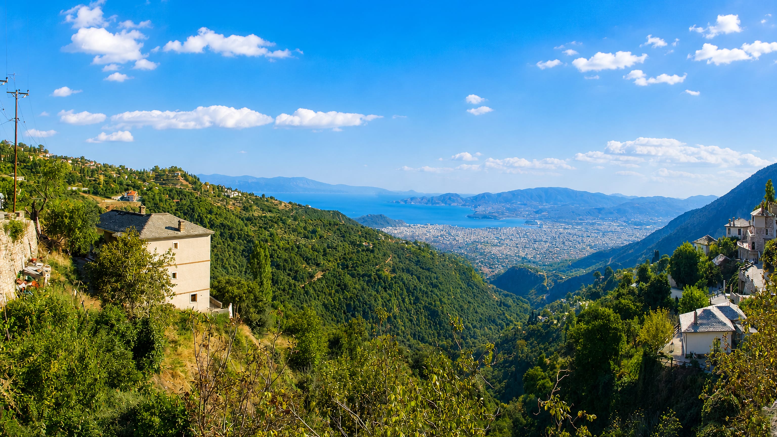 Volos and the Pagasetic Gulf seen from the forested slopes of Mount Pelion under a blue sky.