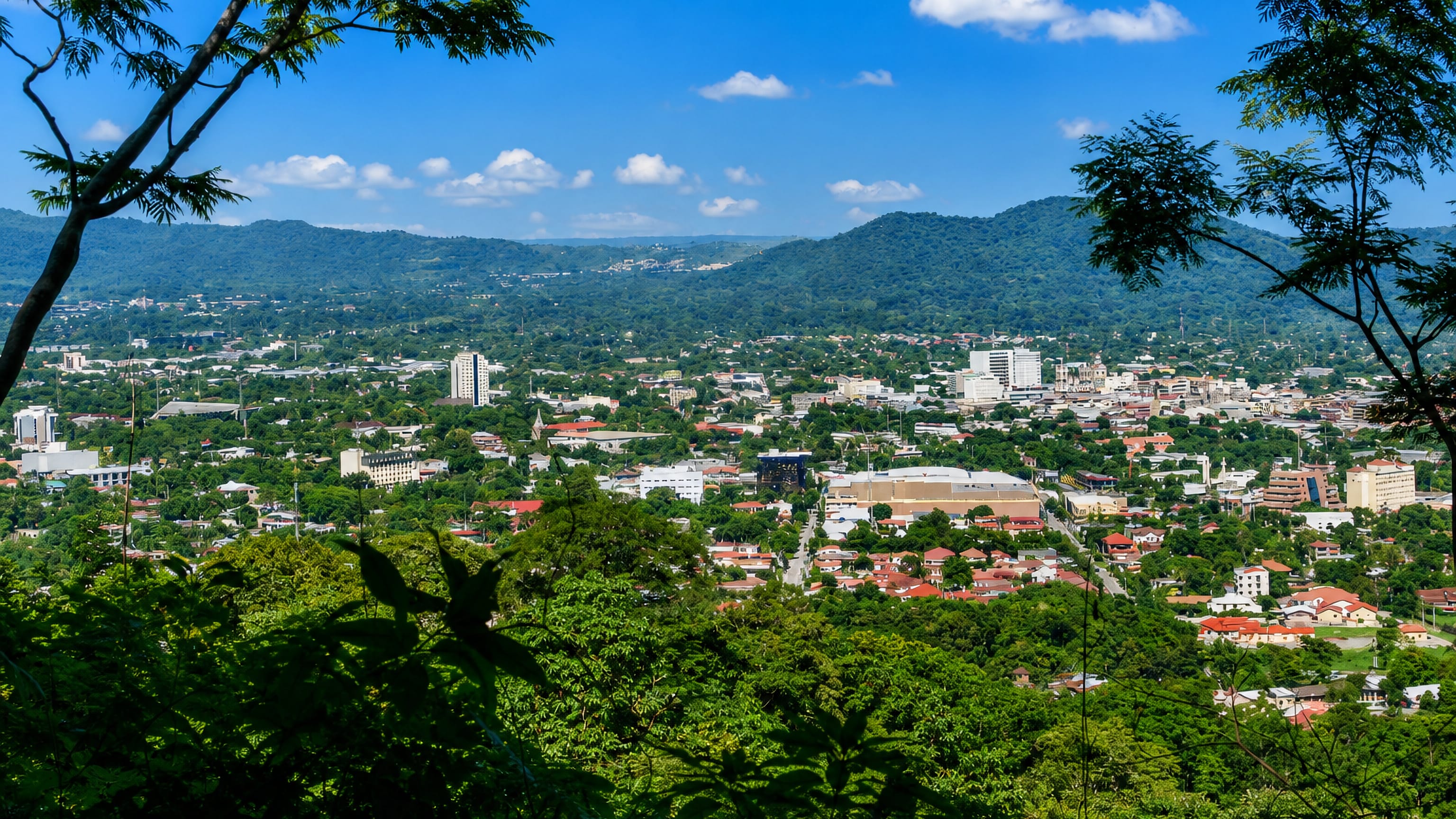 San Pedro Sula spread across the Sula Valley below the forested Merendon hills, seen from a hillside.
