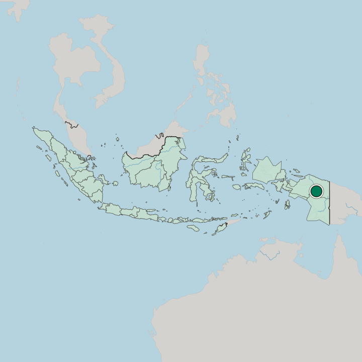Map showing Wamena — In Indonesia