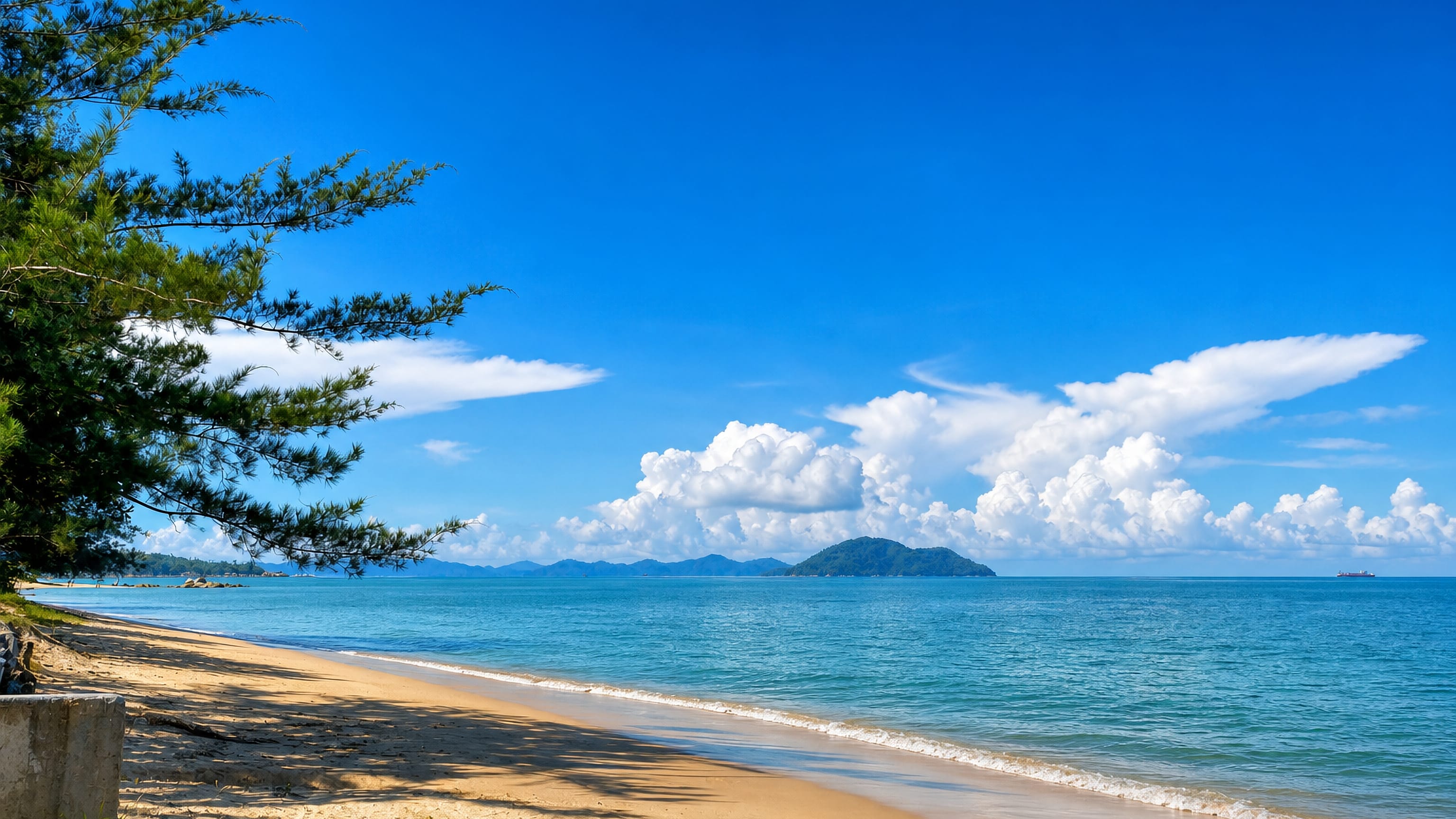 Empty tropical beach with casuarina trees and a forested island offshore near Singkawang, West Kalimantan.