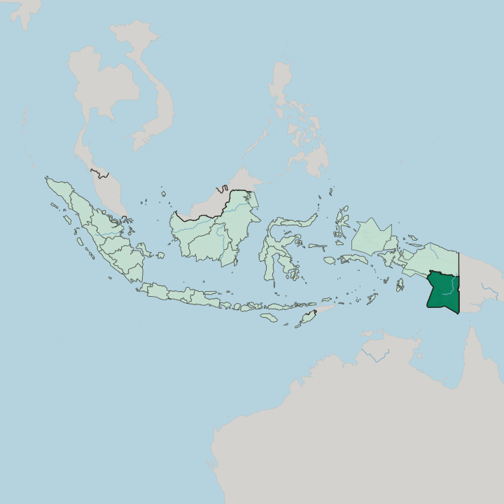 Map showing South Papua — In Indonesia