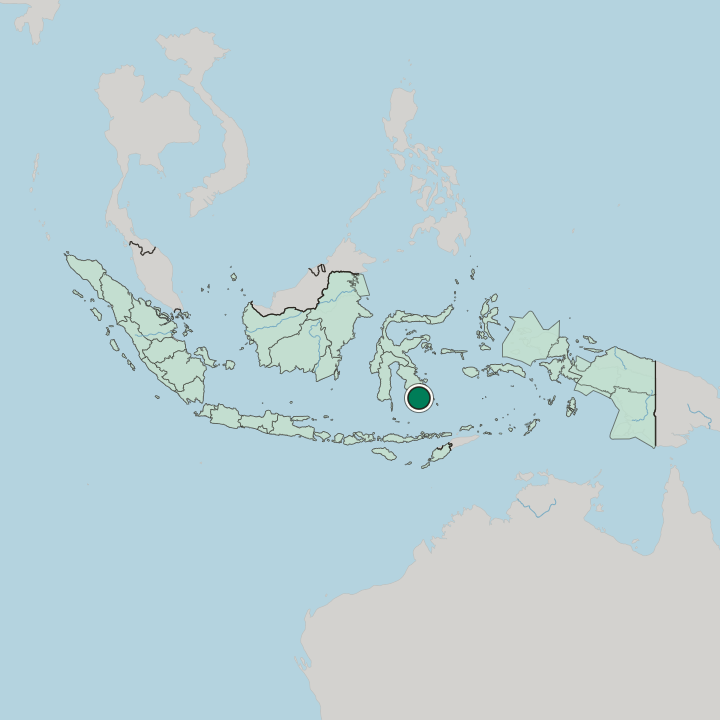 Map showing Baubau — In Indonesia