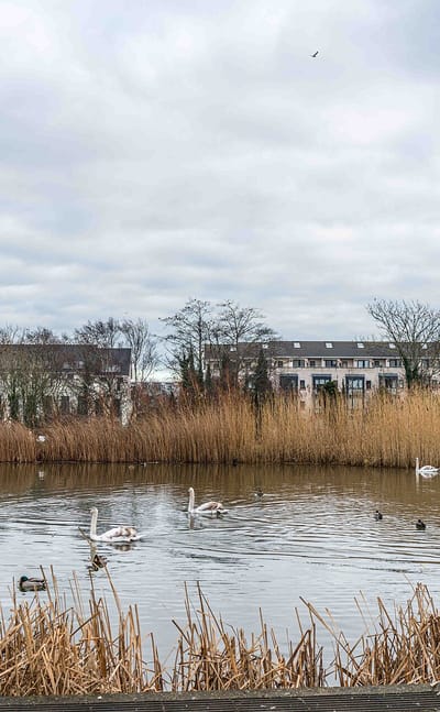 Donaghmede