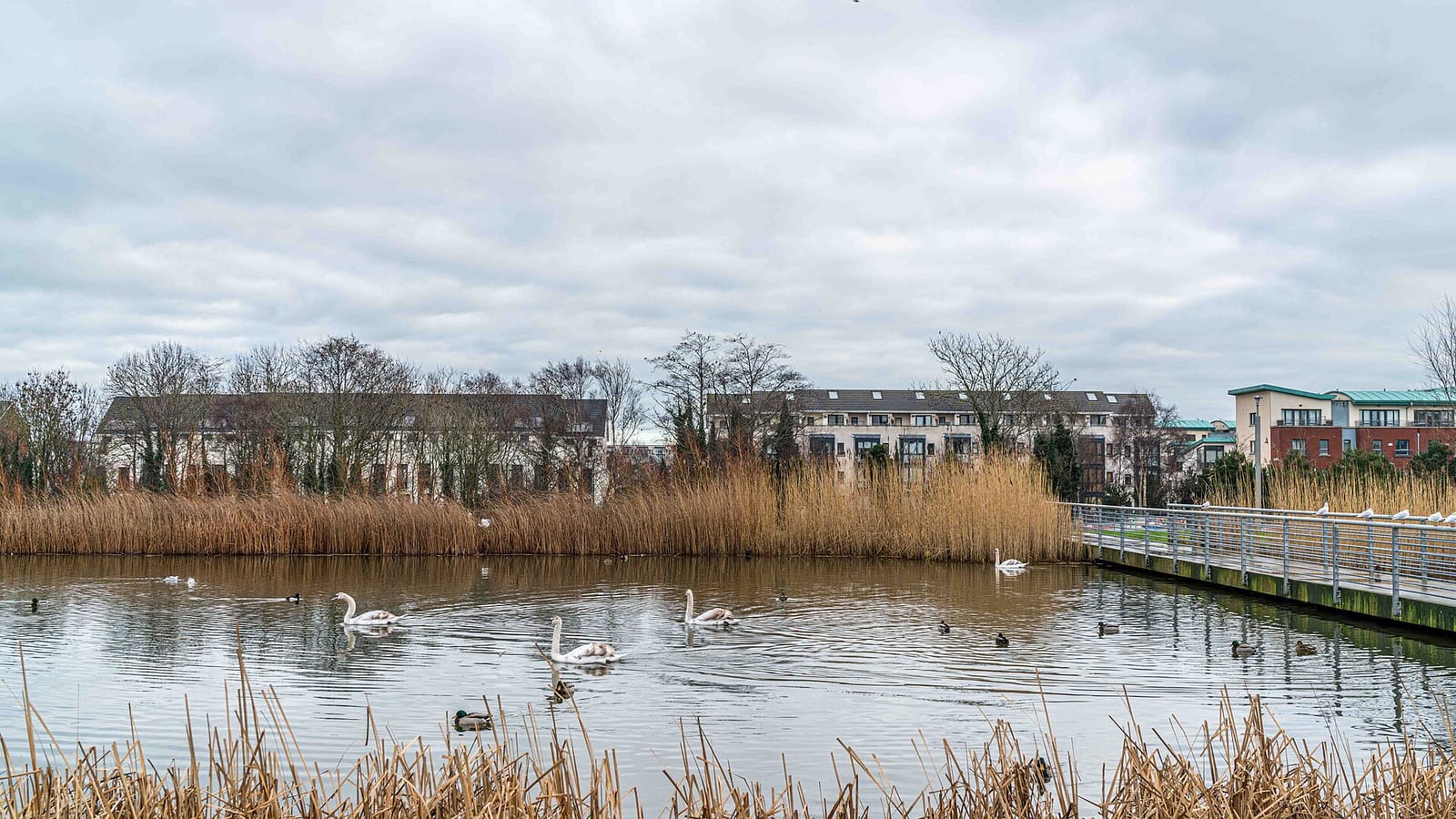 Donaghmede