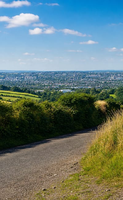 Cork viewed from a country lane in the surrounding green hills in daylight, the city spread across the valley below.