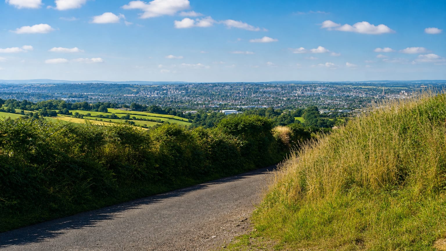 Cork viewed from a country lane in the surrounding green hills in daylight, the city spread across the valley below.
