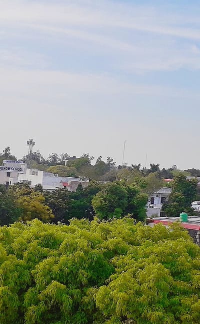 Civil Lines