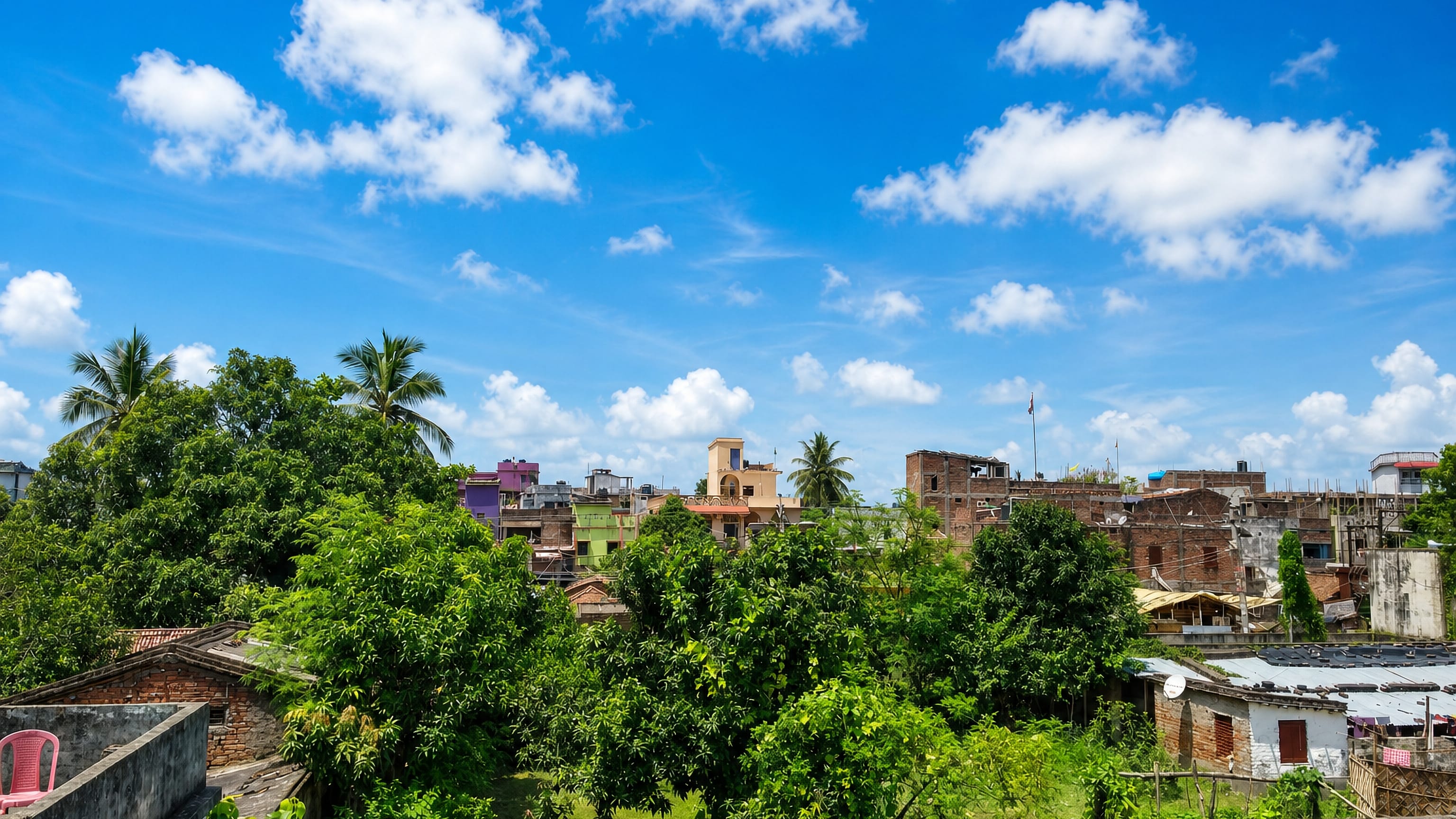 Rooftops, brick houses and mango trees under a bright sky in Saharsa, Bihar.