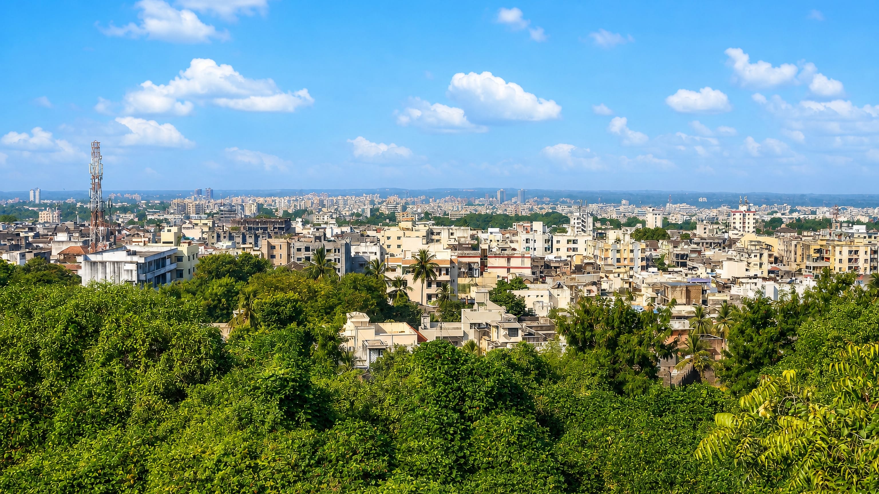 Junagadh, Gujarat, its low concrete blocks and palms spreading to the horizon beyond a green tree canopy.