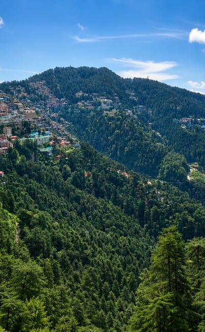 Shimla's hillside houses on forested Himalayan slopes above the railway line