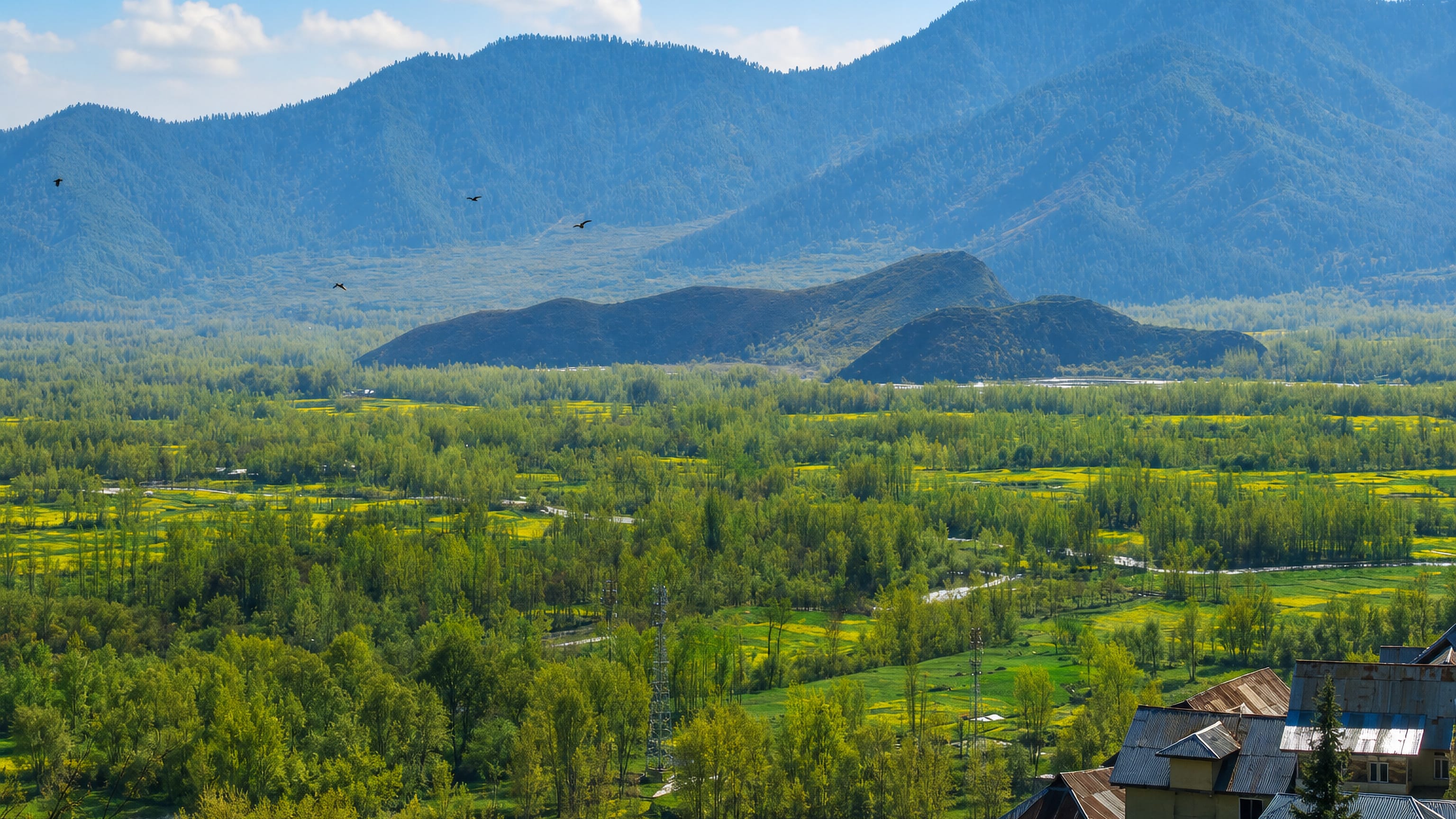 Kashmir valley near Anantnag, poplar groves and mustard fields below forested ridges, with tin-roofed houses.