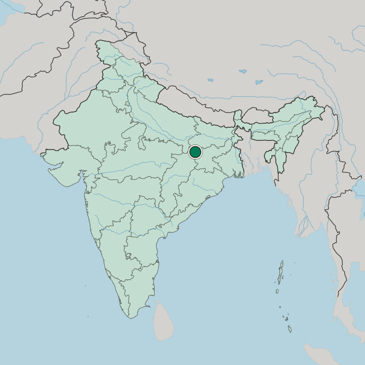 Map showing Medininagar — In India