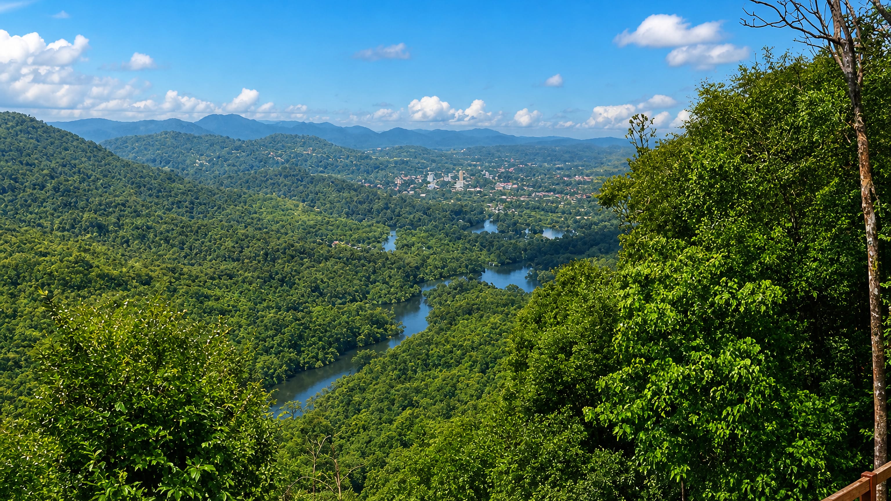 Forested Western Ghats ridges and a winding river above the town of Sirsi, Karnataka.