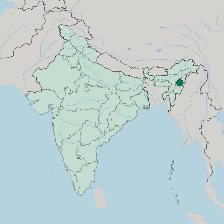 Map showing Kohima — In India