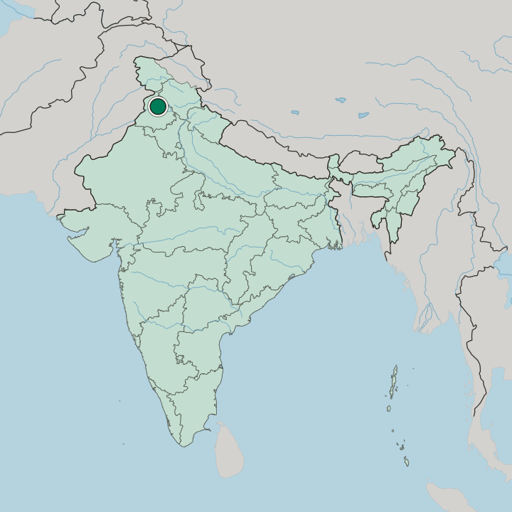 Map showing Jalandhar — In India