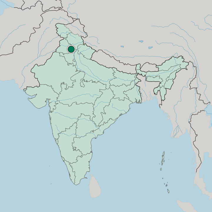 Map showing Rajpura — In India