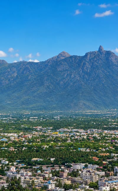 Coimbatore's low-rise cityscape spreads below the forested peaks of the Western Ghats.