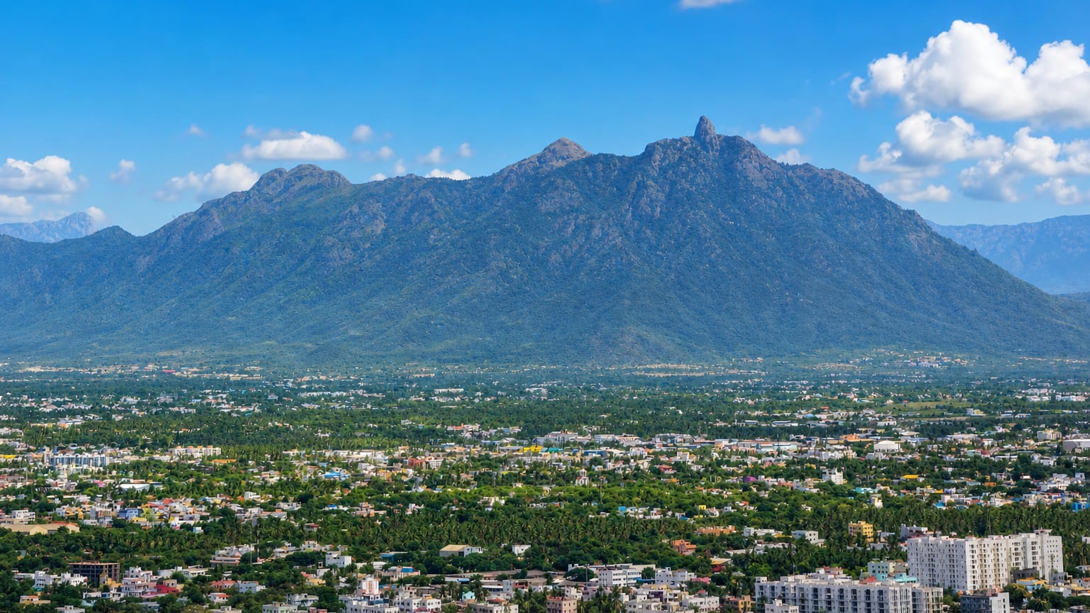 Coimbatore's low-rise cityscape spreads below the forested peaks of the Western Ghats.