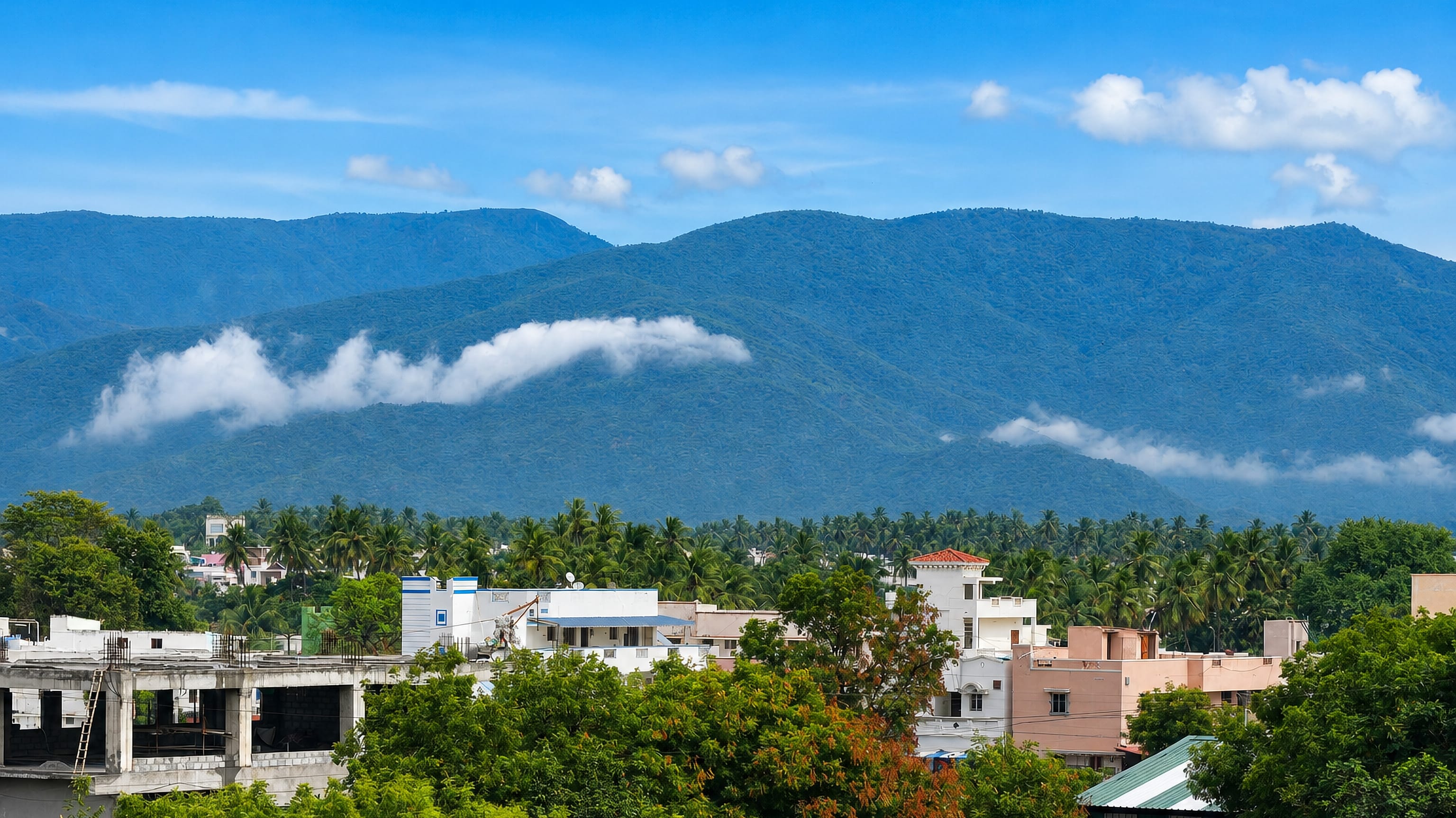Rooftops and palms of Gobichettipalayam, India, below the blue ridges of the Western Ghats.