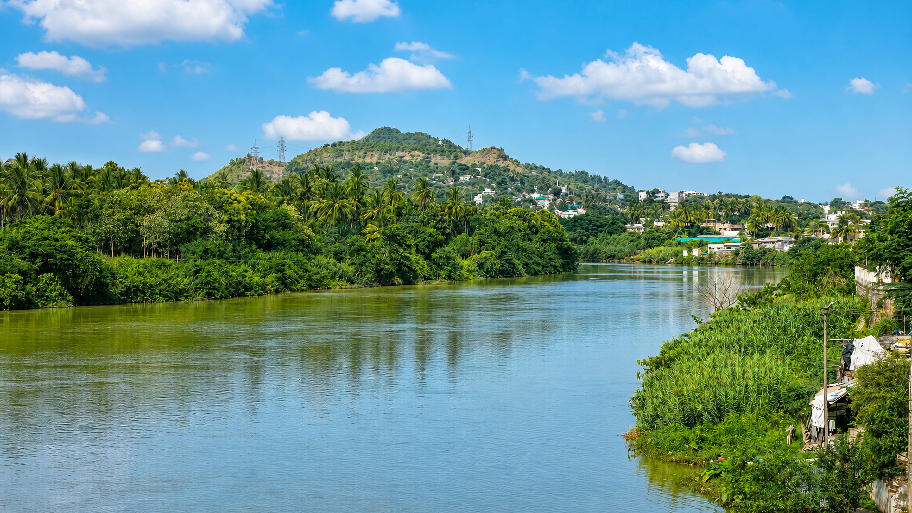 The Bhavani River at Mettupalayam, Tamil Nadu, with palm-fringed banks and Nilgiri foothills beyond