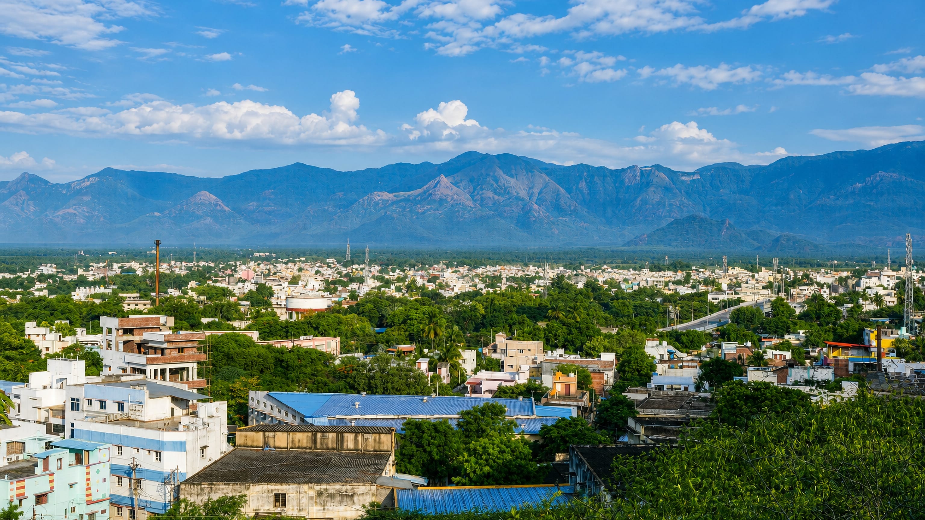 Rajapalayam spreading green and low-rise across the Tamil Nadu plain beneath the Western Ghats.