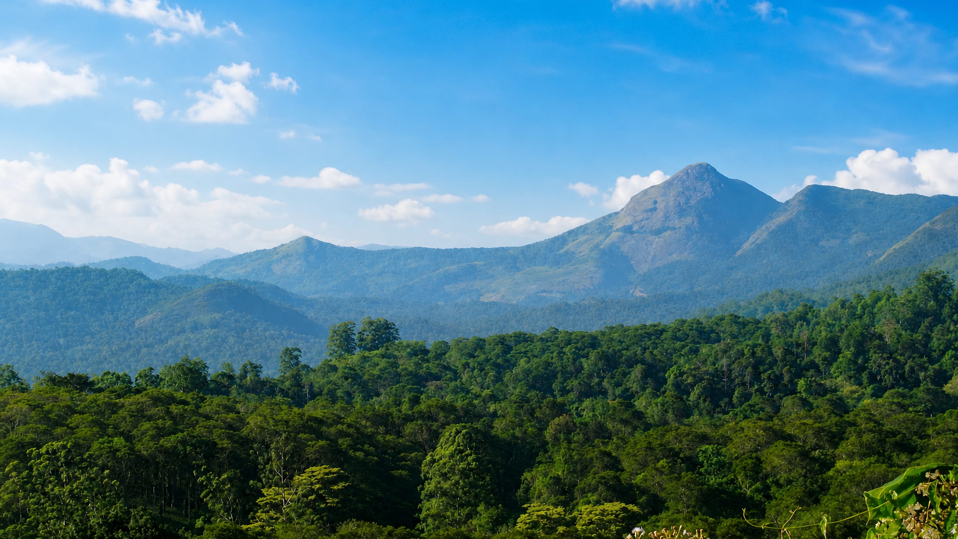 Forested Western Ghats hills and peaks surrounding Valparai in Tamil Nadu, India.