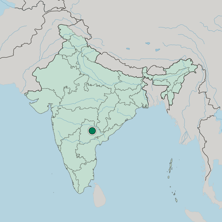 Map showing Warangal — In India
