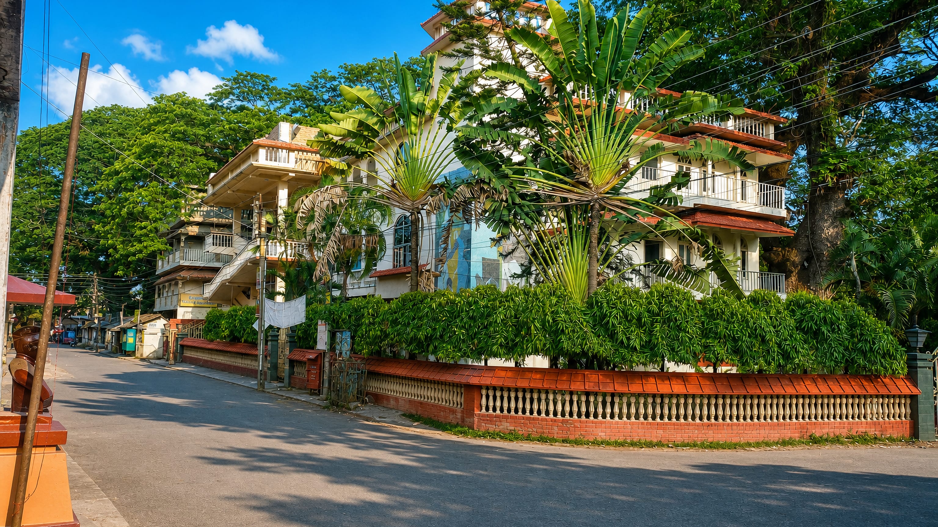Quiet residential street with traveller's palms and a white apartment block in Bārāsat, West Bengal