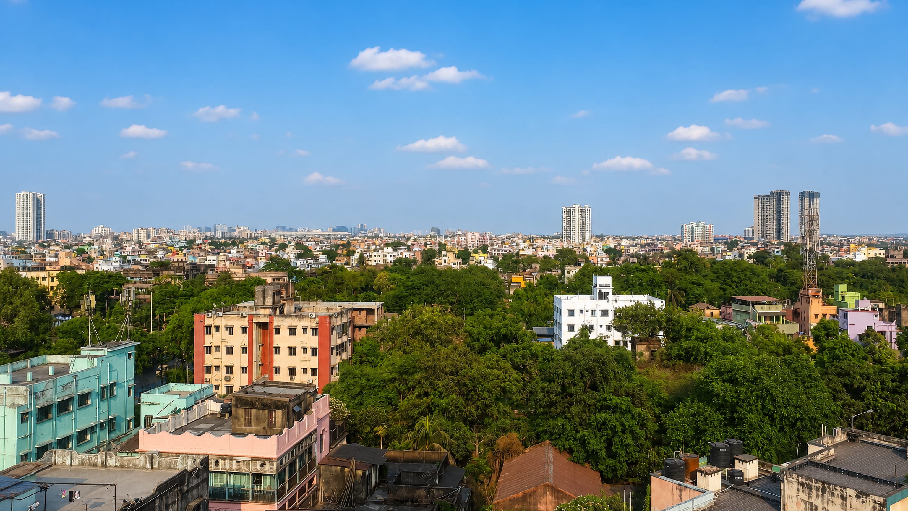 Rooftops, palms and distant high-rises across the dense Beliaghata neighbourhood of Kolkata.