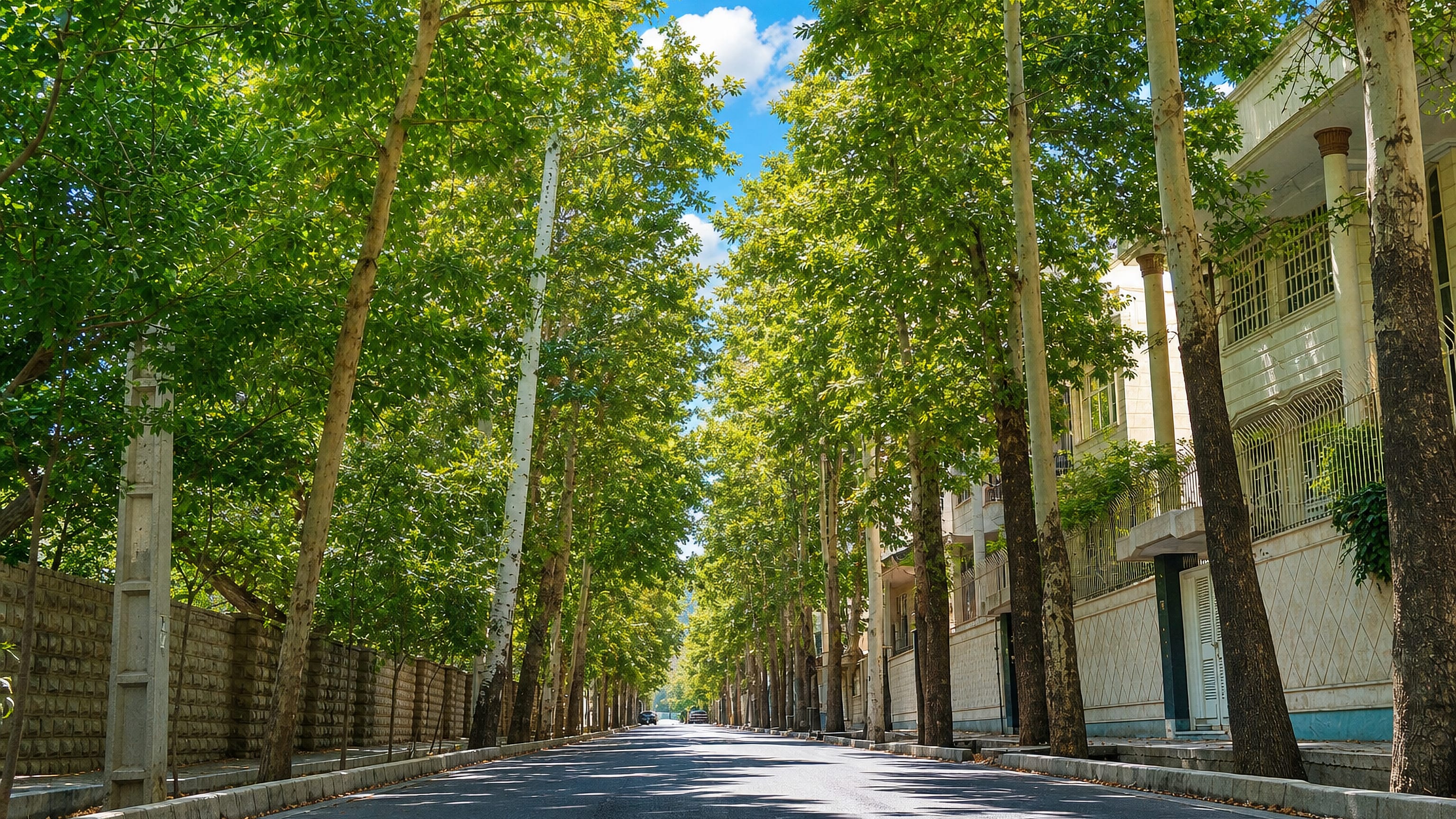 Plane-tree avenue and mid-century villas along a quiet street in Jahān Shahr, Karaj.