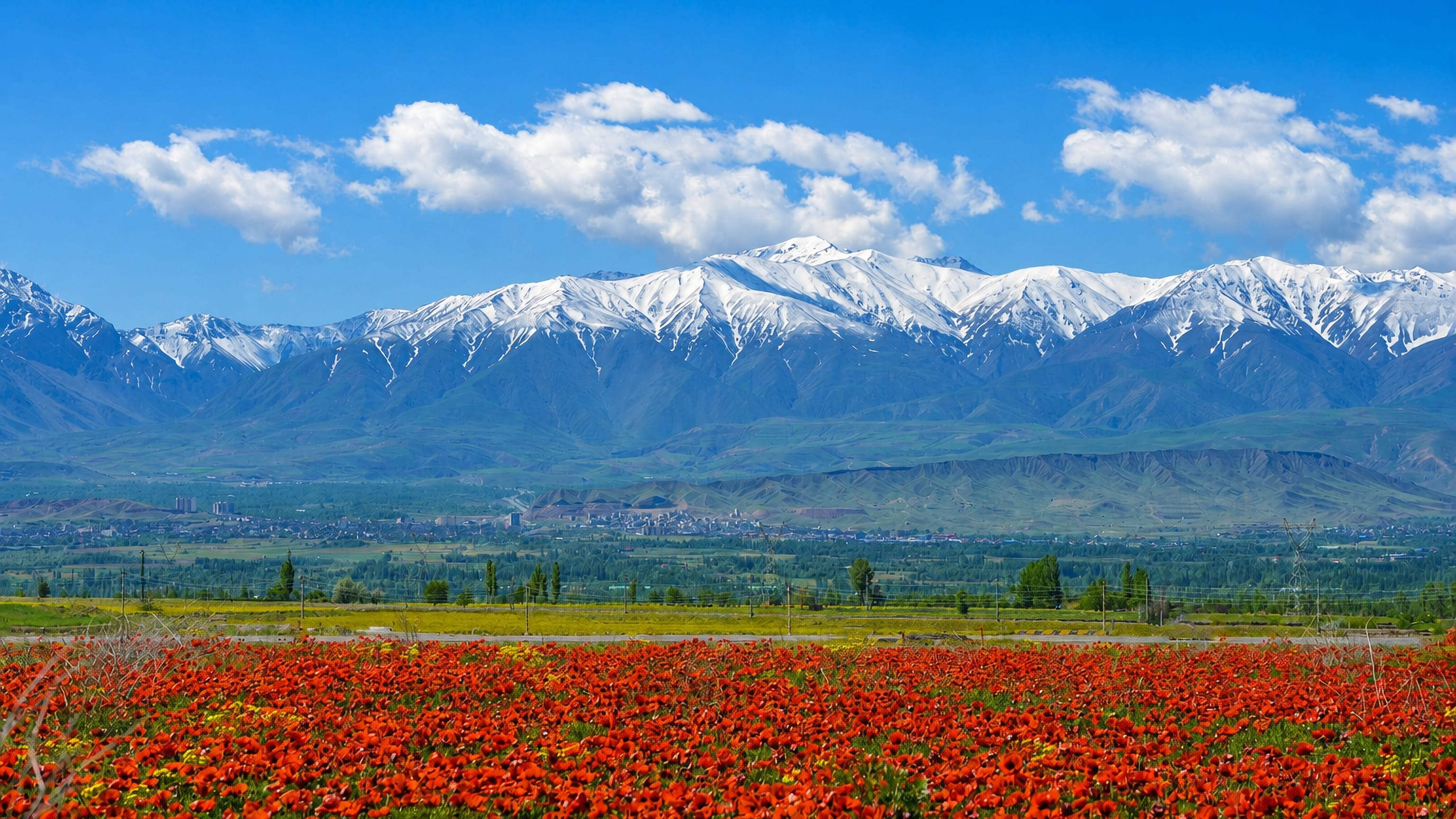 Marand spread across its valley below snow-capped mountains, with a red poppy field in the foreground.