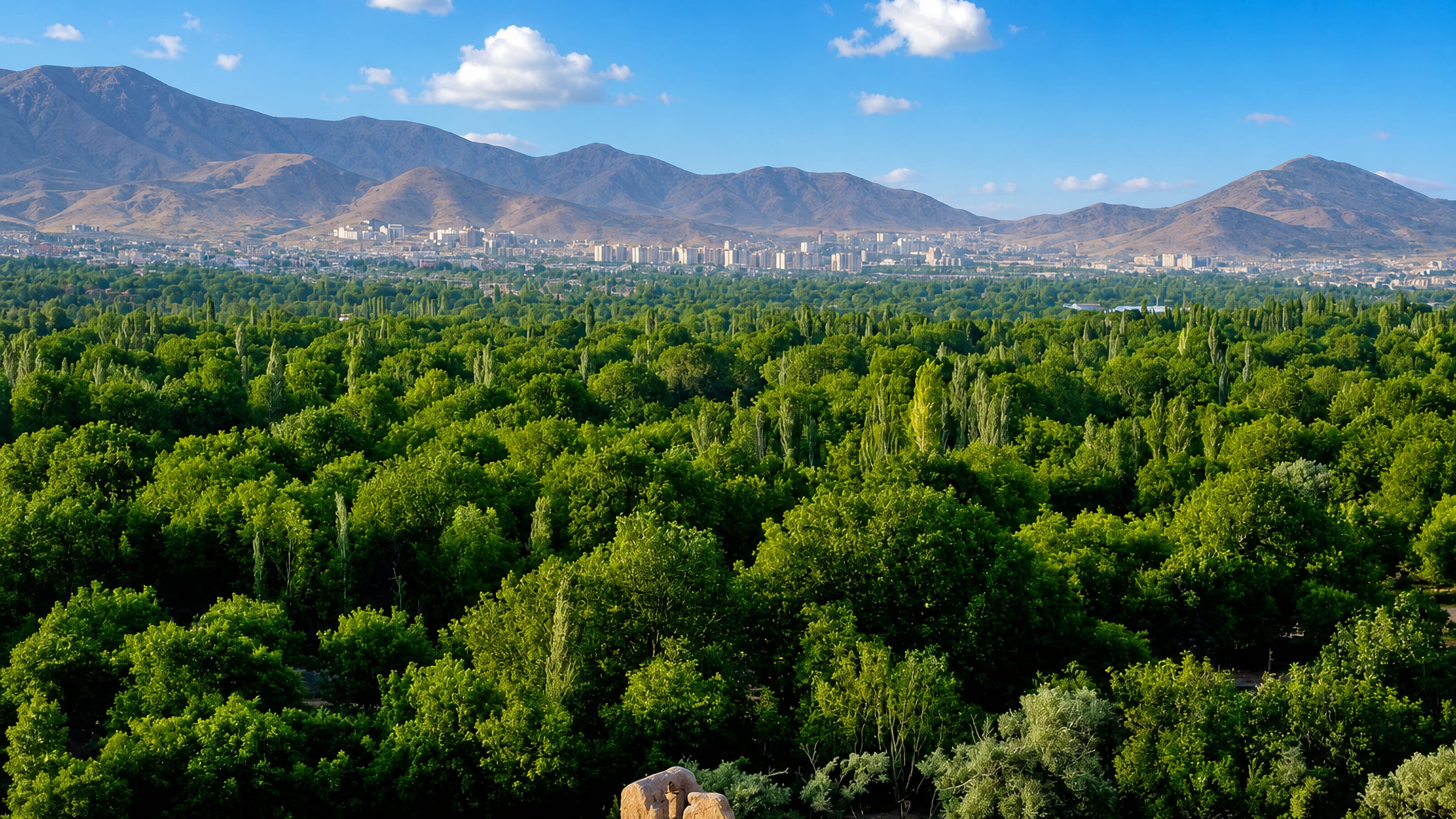 Distant Arāk skyline of mid-rise blocks beyond dense green woodland, with the arid Markazi mountains behind.