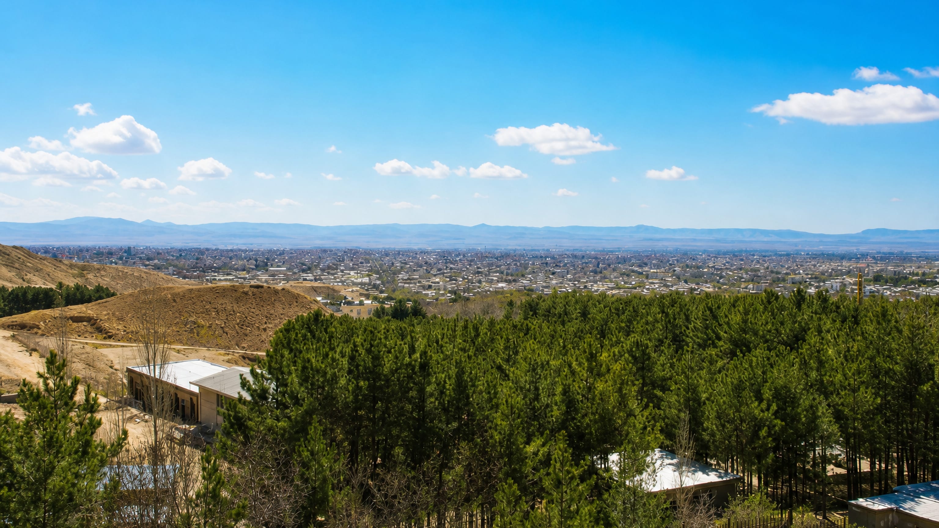 Hillside view over Shahrud, Iran, with pine plantations in the foreground and mountain ranges beyond.