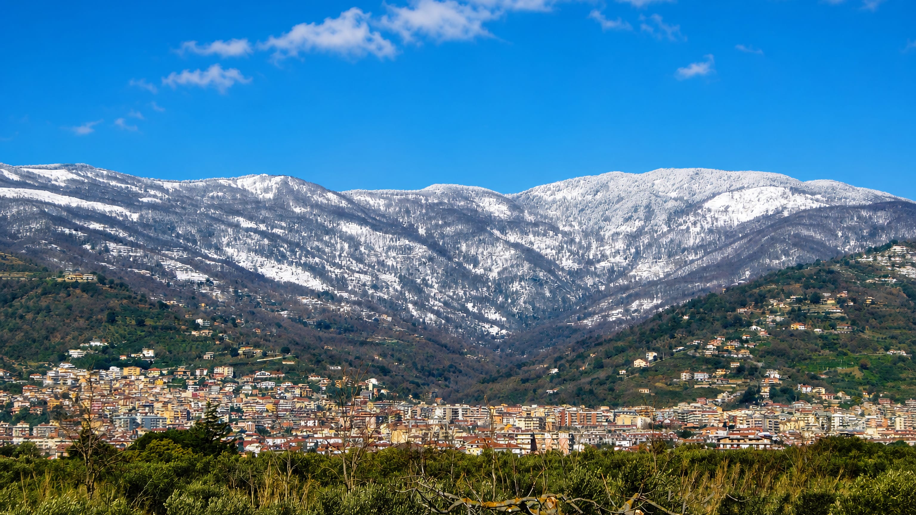 Lamezia Terme spread below the snow-dusted Reventino mountains, seen across Calabrian olive groves.