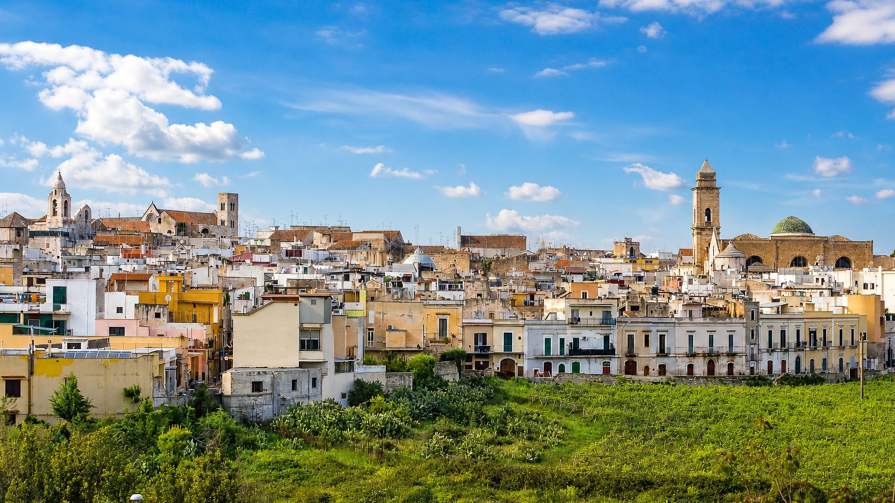 Whitewashed old-town rooftops, a Romanesque bell tower and a domed church above green fields in Bitonto, Puglia.