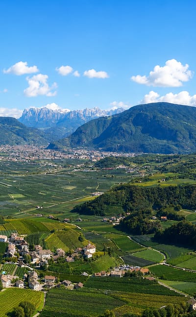 Vineyard terraces and hamlets above the Bolzano basin at Eppan, South Tyrol, with the Dolomites beyond