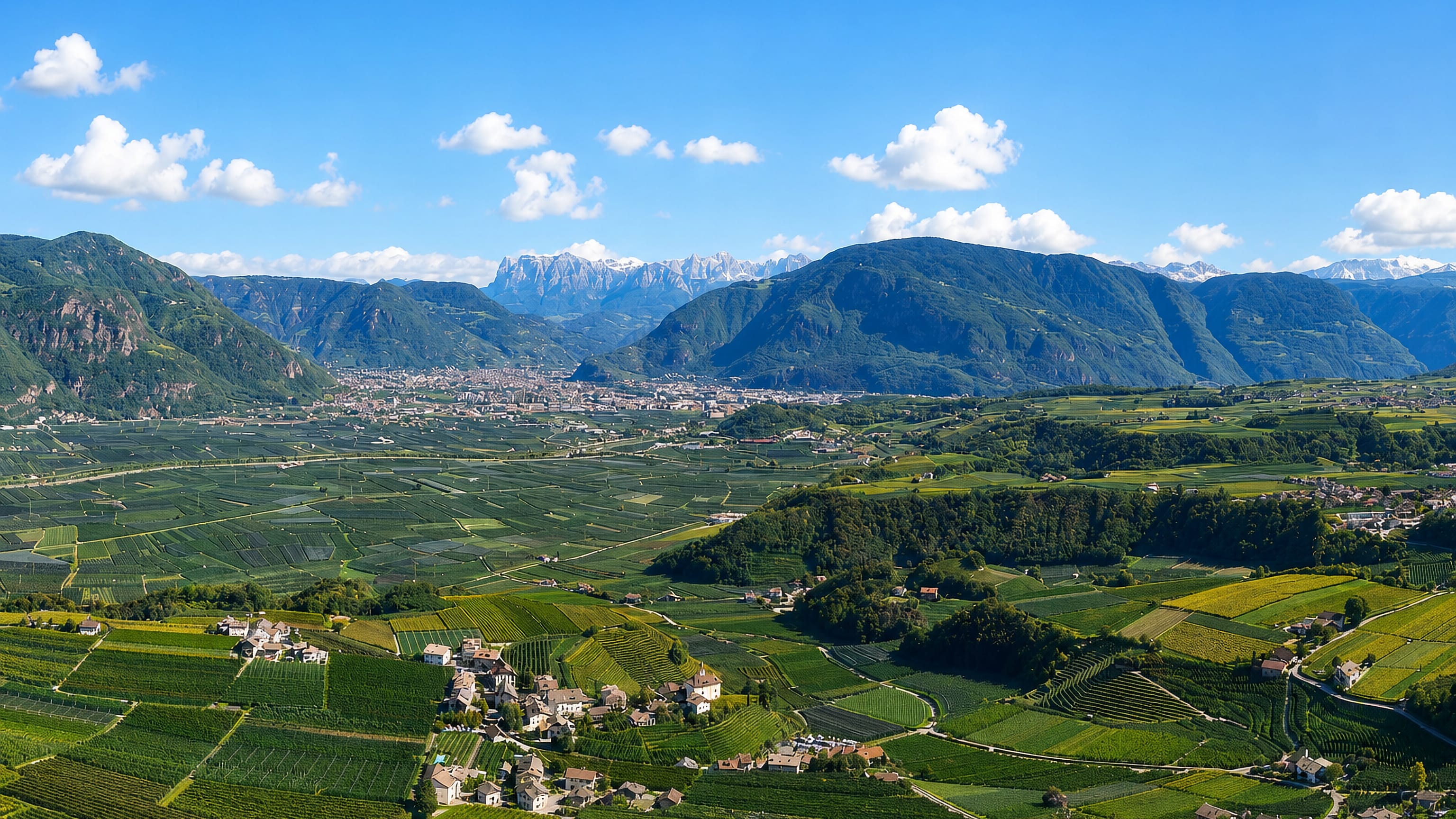 Vineyard terraces and hamlets above the Bolzano basin at Eppan, South Tyrol, with the Dolomites beyond