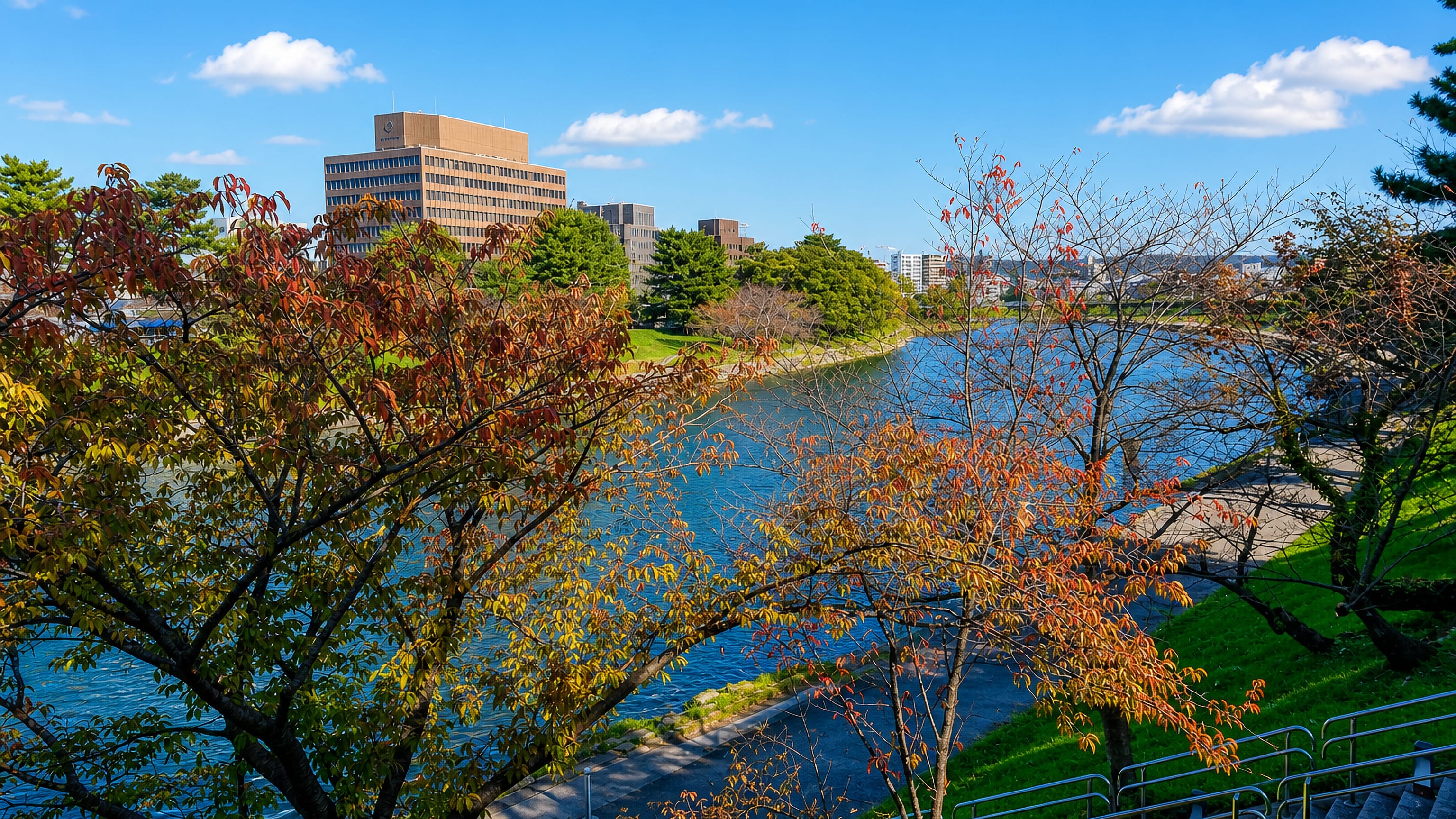 The Oto River in Okazaki, Japan, lined with autumn cherry trees below city office towers.
