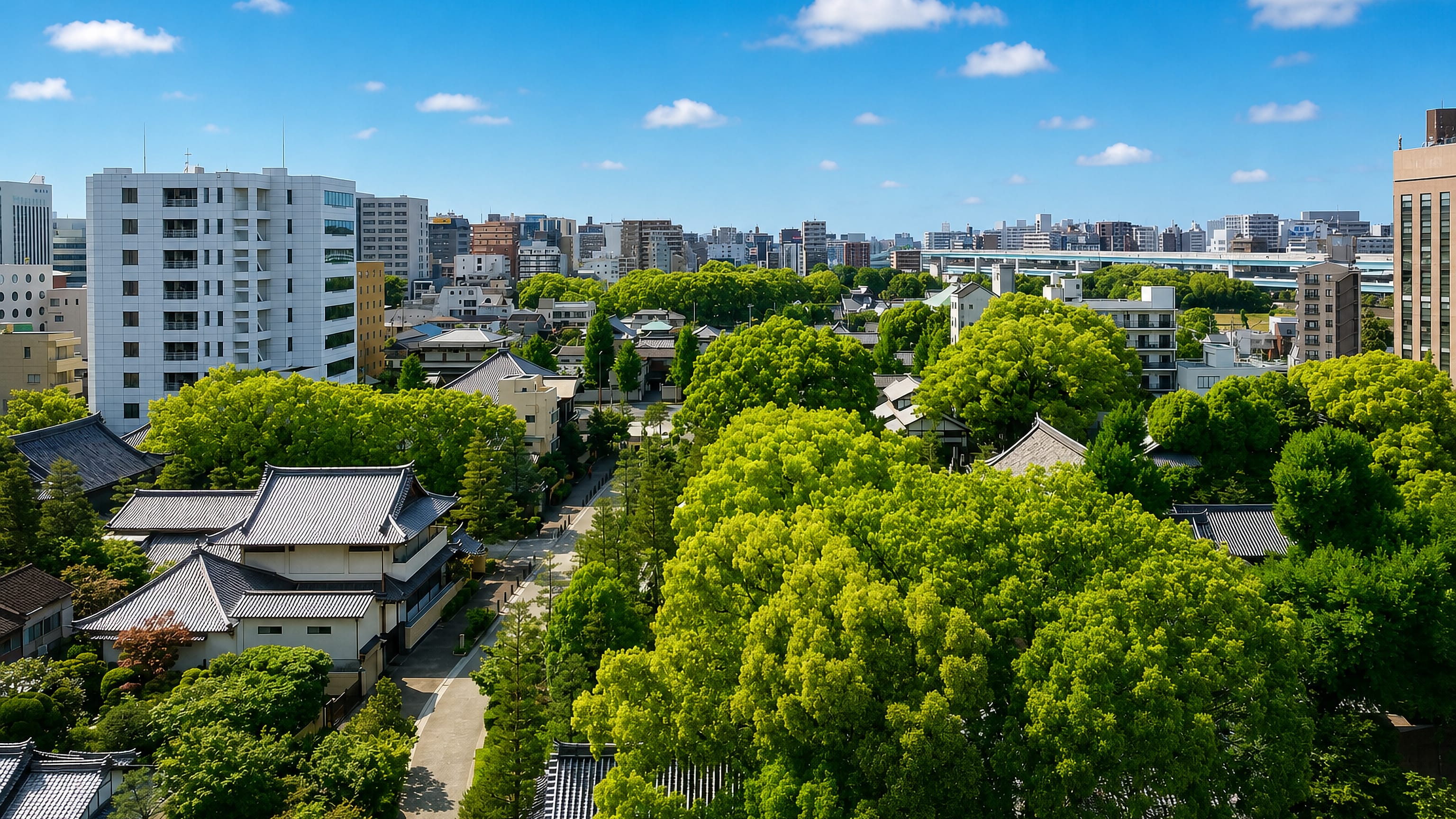 Temple roofs among camphor trees with the Fukuoka skyline beyond, in Gokushomachi, Hakata.