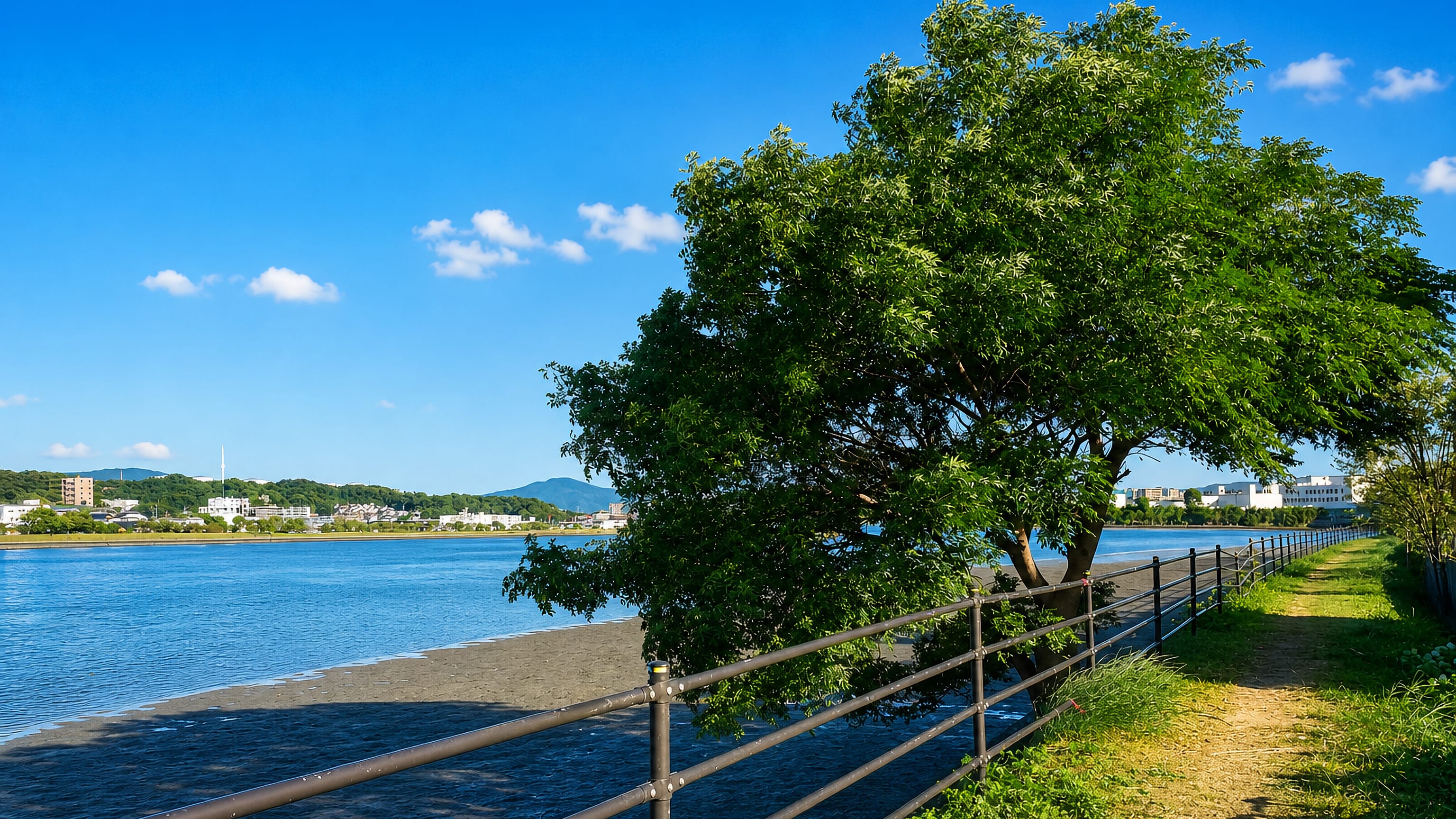 Riverside embankment path and shade tree at Hakomatsu in Fukuoka, looking across the water to distant hills.
