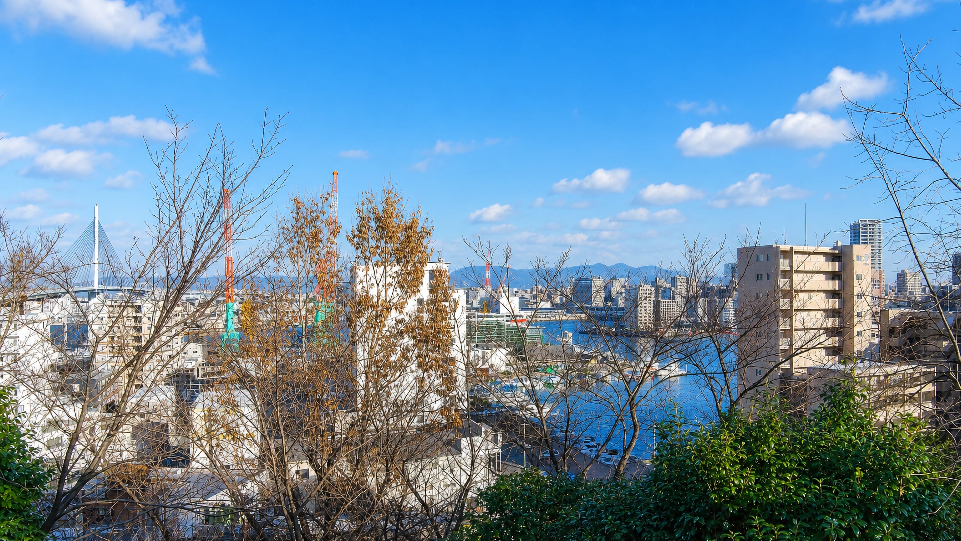 View over Nagahama and Fukuoka's harbour cranes and bay from a wooded slope above the port.