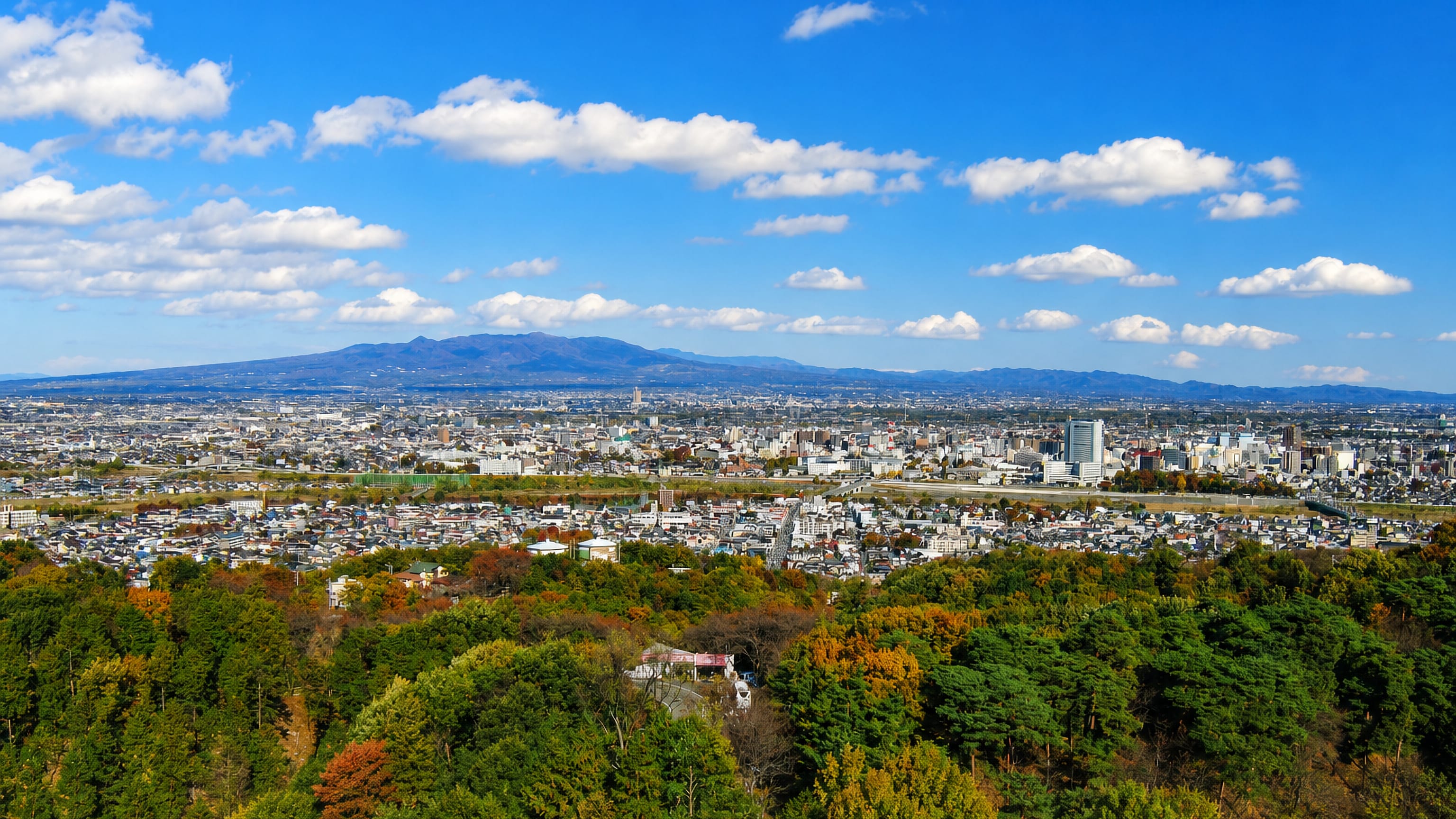 Autumn hillside overlooking Takasaki's low-rise sprawl and mid-rise centre, with mountains along the horizon