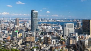 Hillside panorama of Kobe's dense cityscape stretching to the port and bay under a clear sky.
