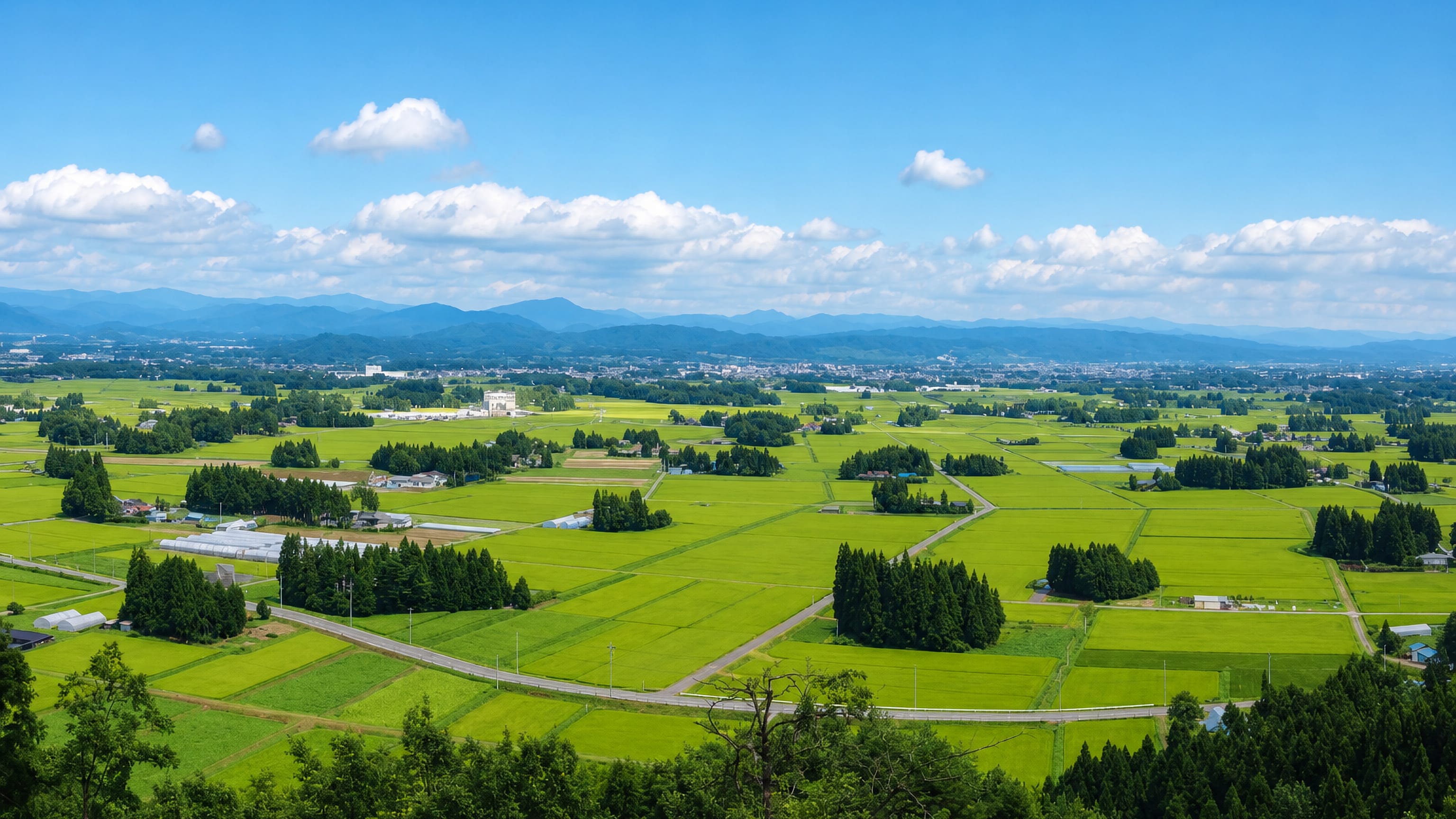 Green rice paddies of the Kitakami basin stretching toward Hanamaki and the mountains of Iwate, Japan.