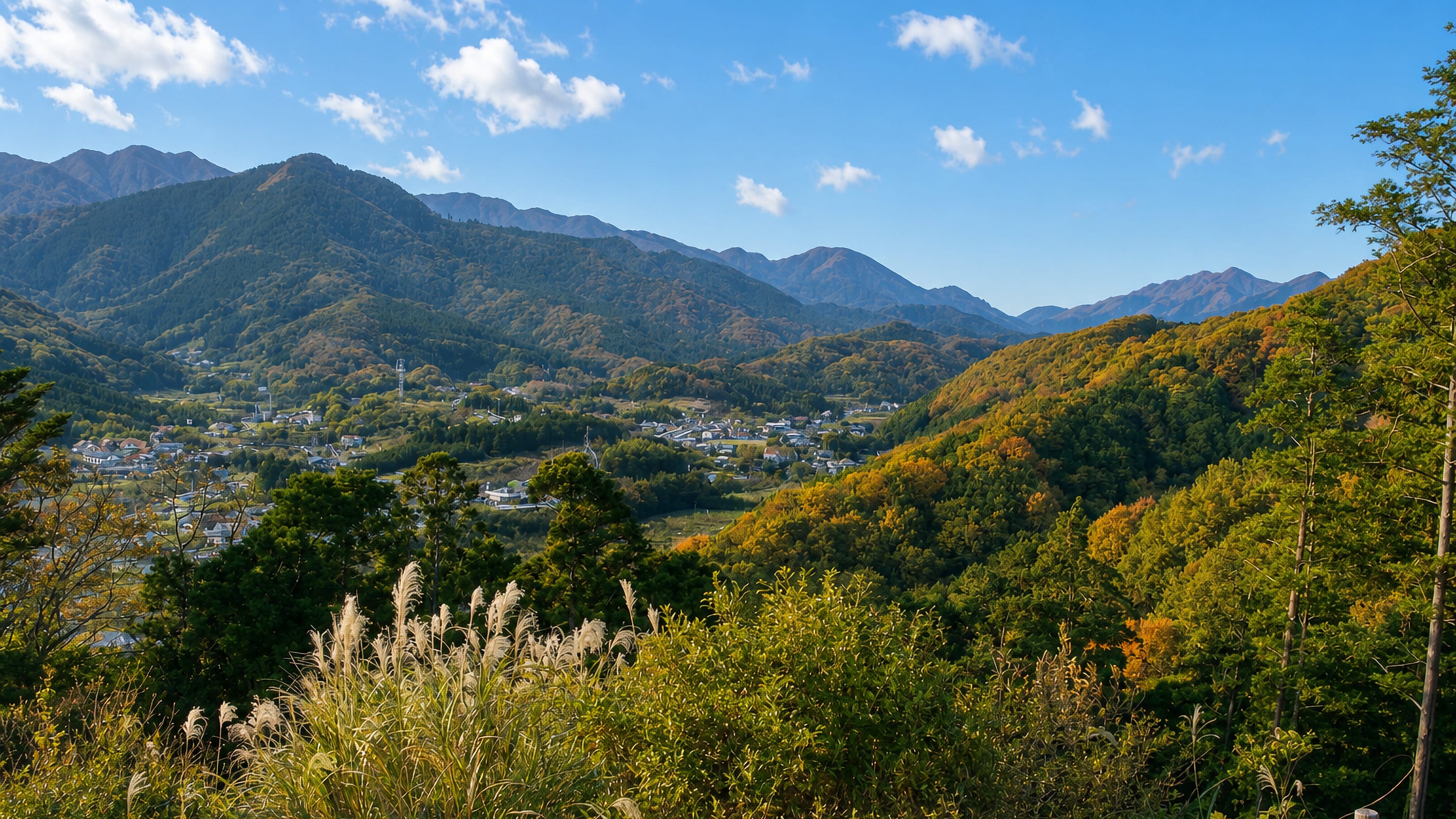 Wooded hills and a small valley settlement near Atsugi, Japan, in autumn colour under a clear sky.