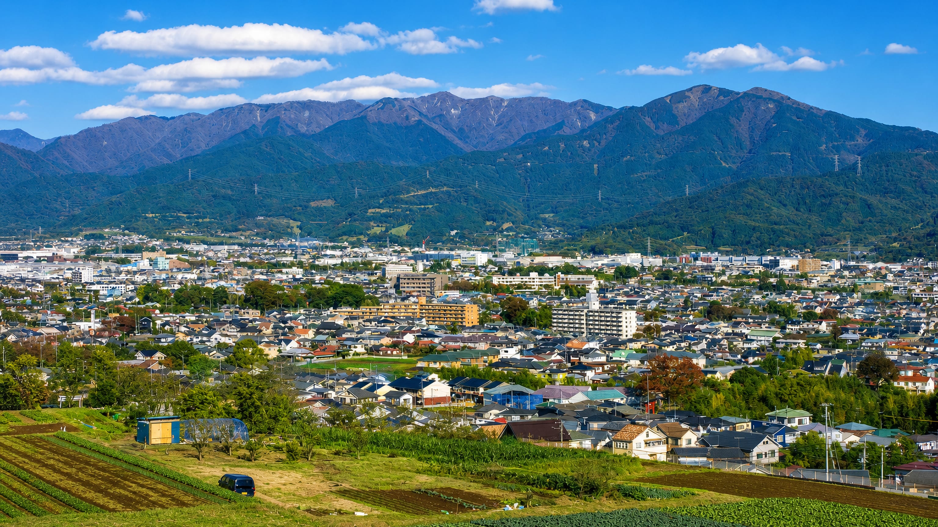 Hadano spreading across its basin below the Tanzawa mountains, with vegetable fields in the foreground.